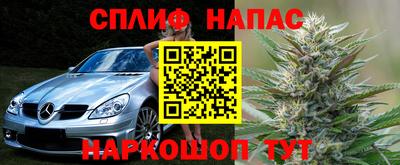СК Кандалакша