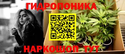 молекула духа Камышлов
