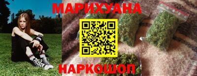 молекула духа Камышлов
